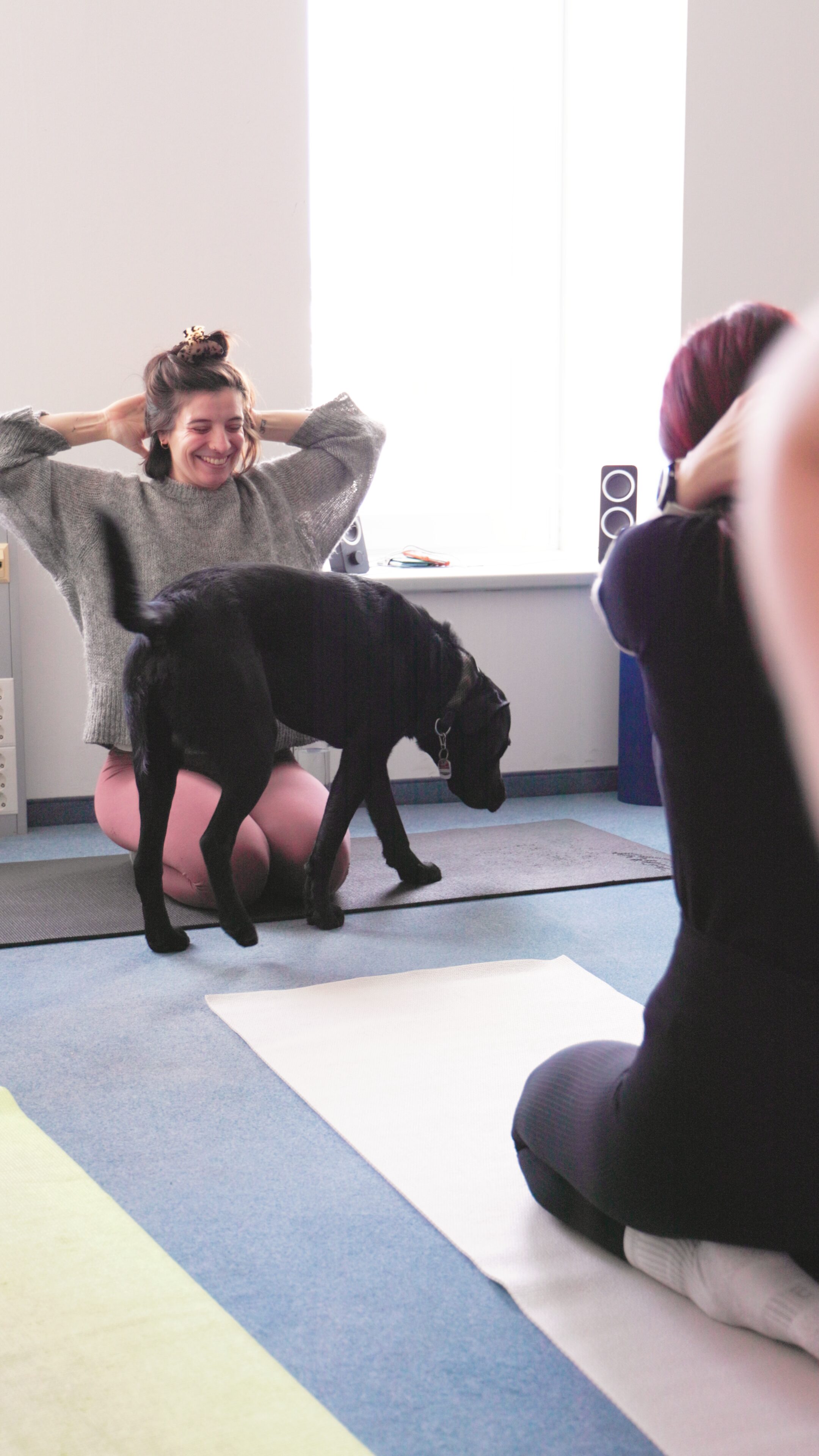 Wir machen Yoga mit Bürohund Koda