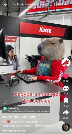 Screenshot des TikTok-Accounts der Firma Media Markt