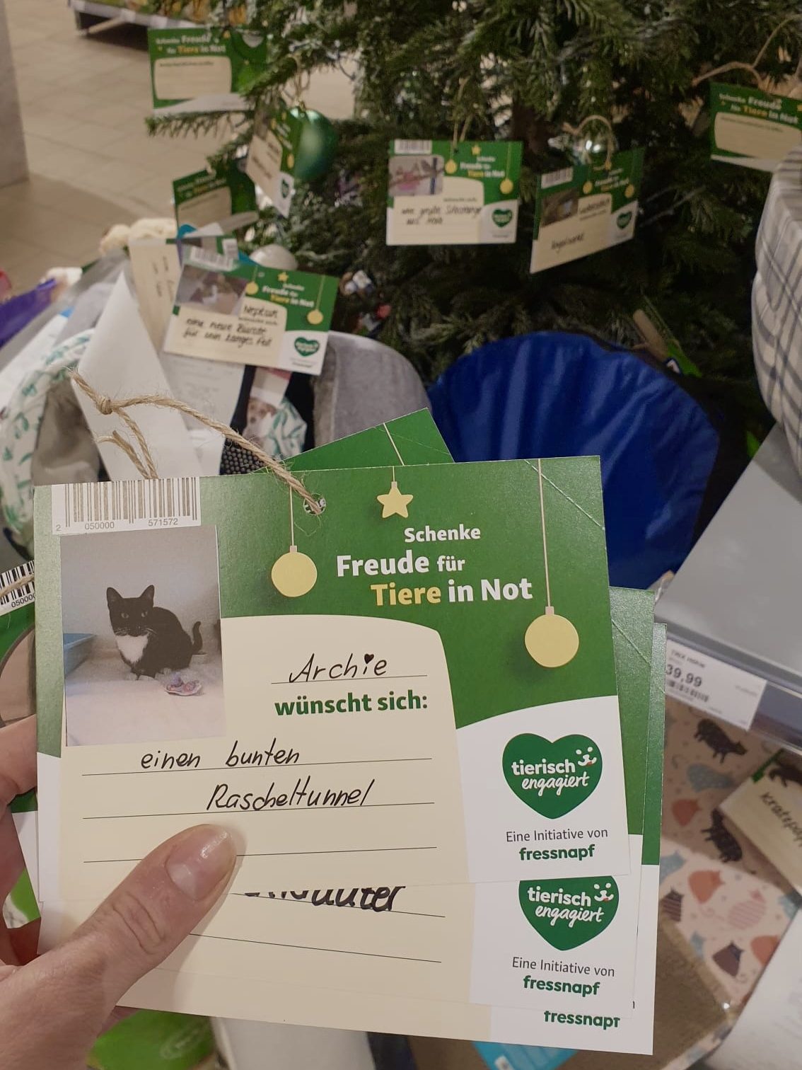 Eine Hand hält Karten vor einem Weihnachtsbaum