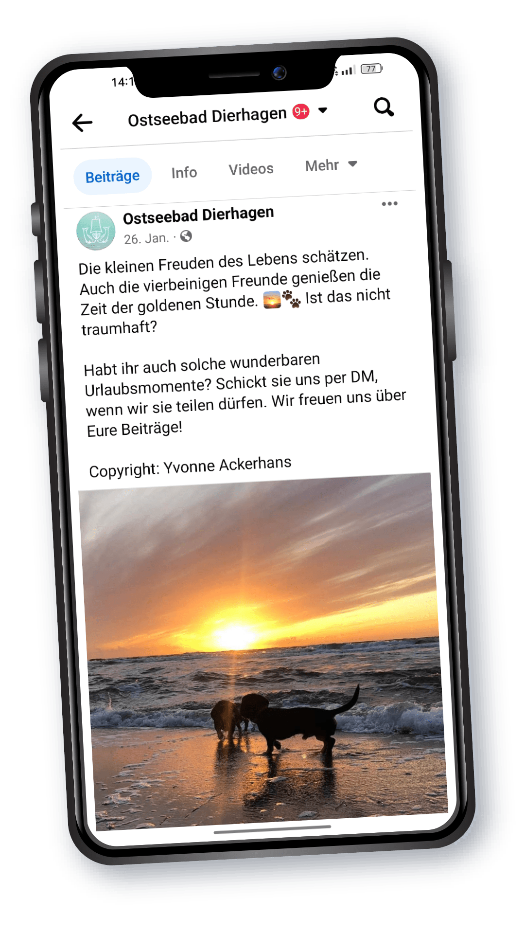 Ganzheitlicher Social Media Support - Ostseebad Dierhagen