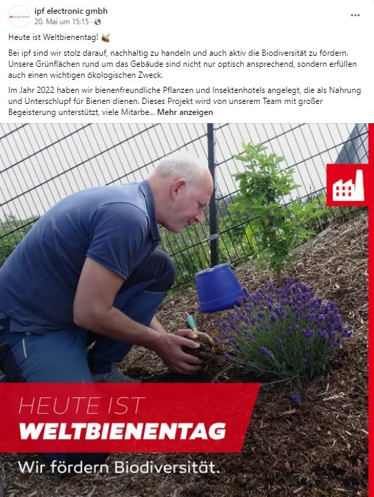Mann im Garten beim Pflanzen