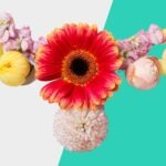 Frauengesundheit symbolisiert durch eine Gebärmutter aus Blumen