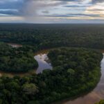 Drohnenaufnahme vom Regenwald in Peru
