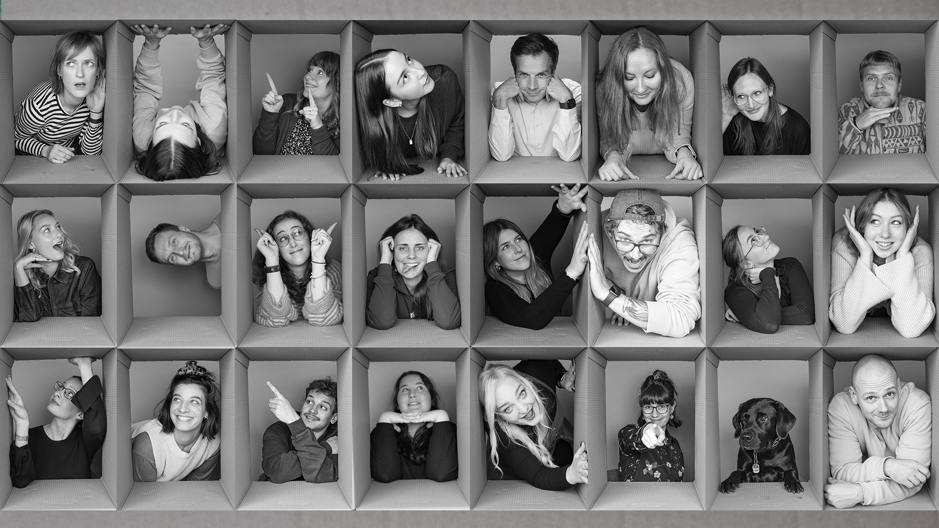 Box-Bilder-Collage der Somengos